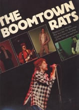 Boomtown Rats book