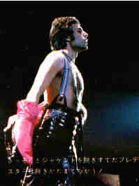 Picture of Freddie