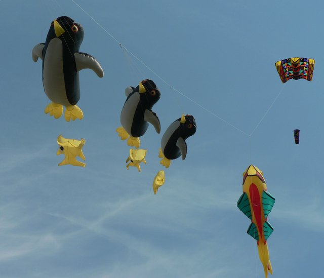 3 penguins and a fish kite