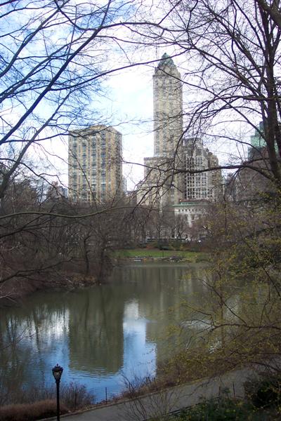 Central Park view