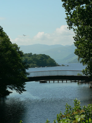 Bridge view