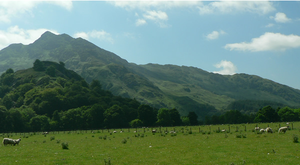 Mounstains and sheep