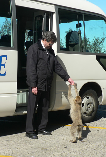 Tour guide Tony and monkey