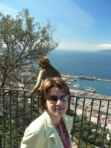 Monkey view